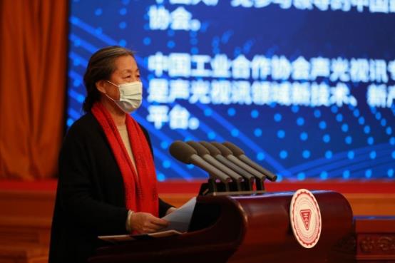 中国工业合作协会声光视讯专业委员会在京举办成立大会 - 依马狮视听工场
