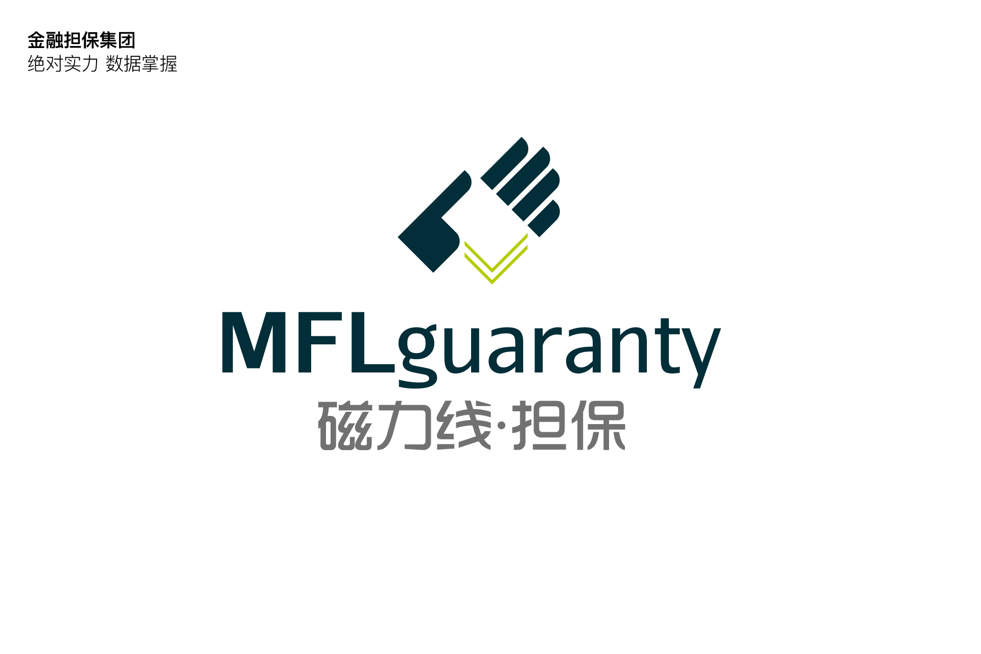 磁力线投资担保金融公司logo设计、vi设计
