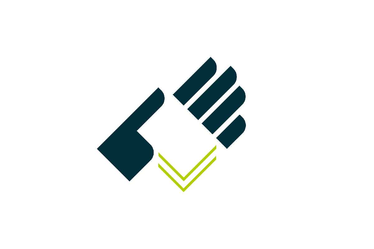 磁力线投资担保金融公司logo设计、vi设计