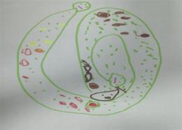 img5