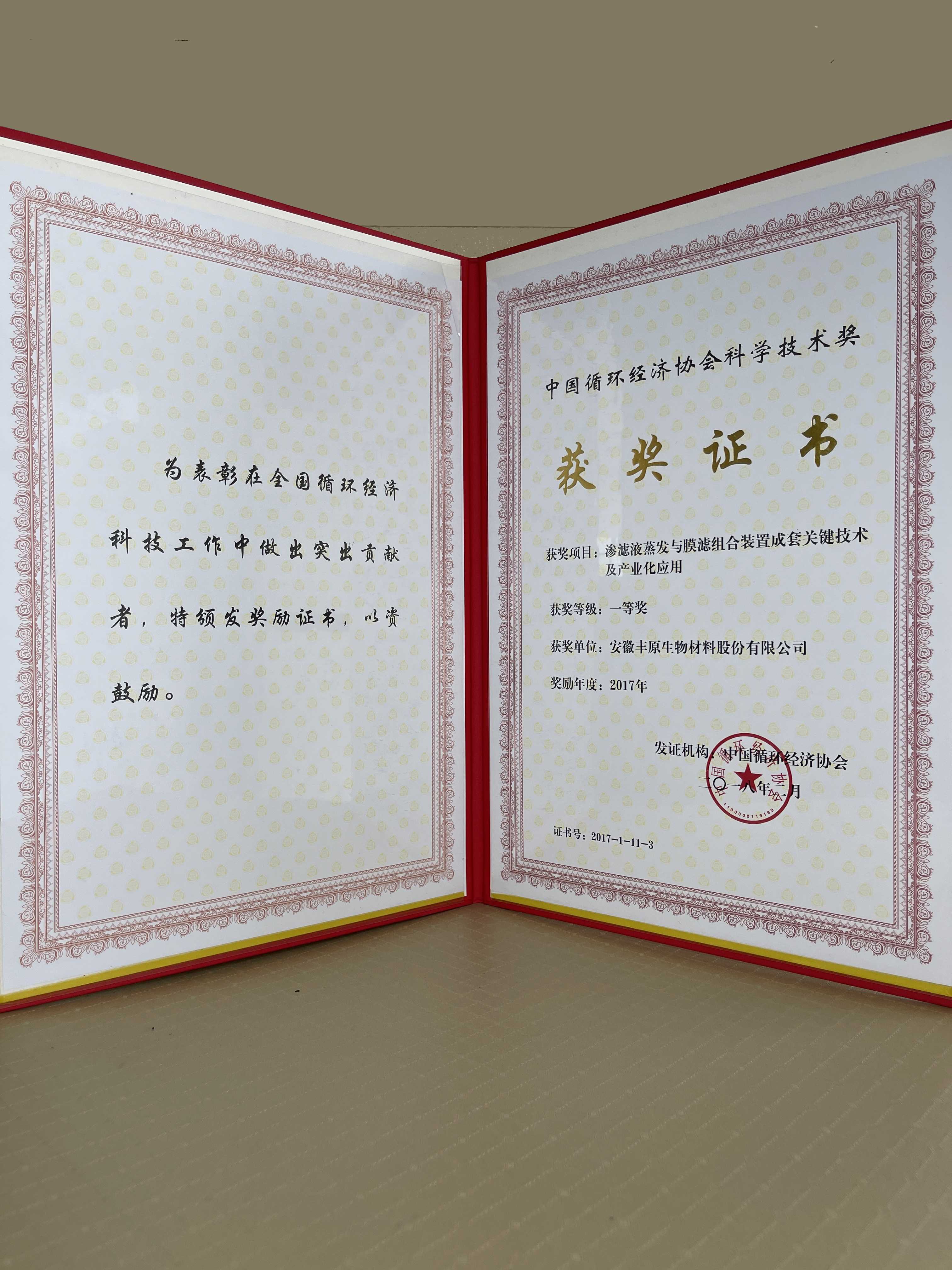中国循环经济协会科学技术一等奖