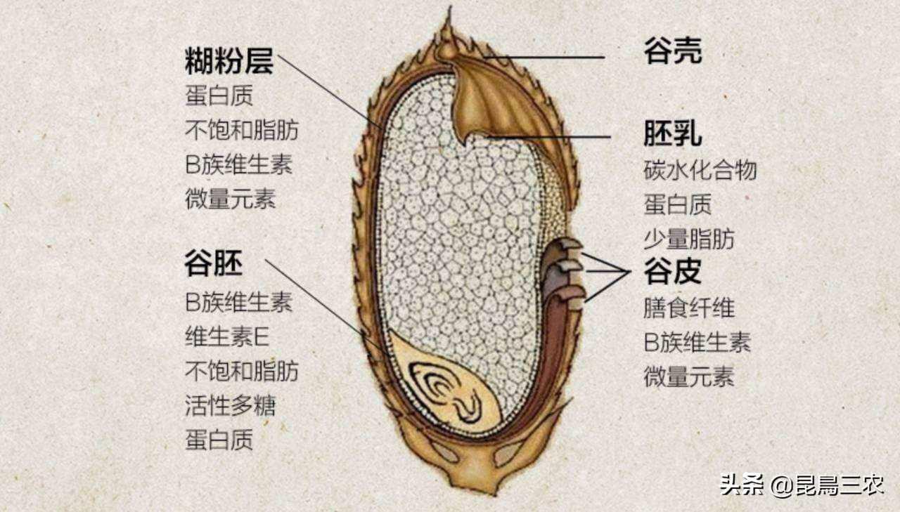 农民把稻谷碾成大米后，留下的米糠居然有这么多的用处