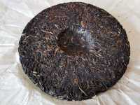 IMG_20200613_175735