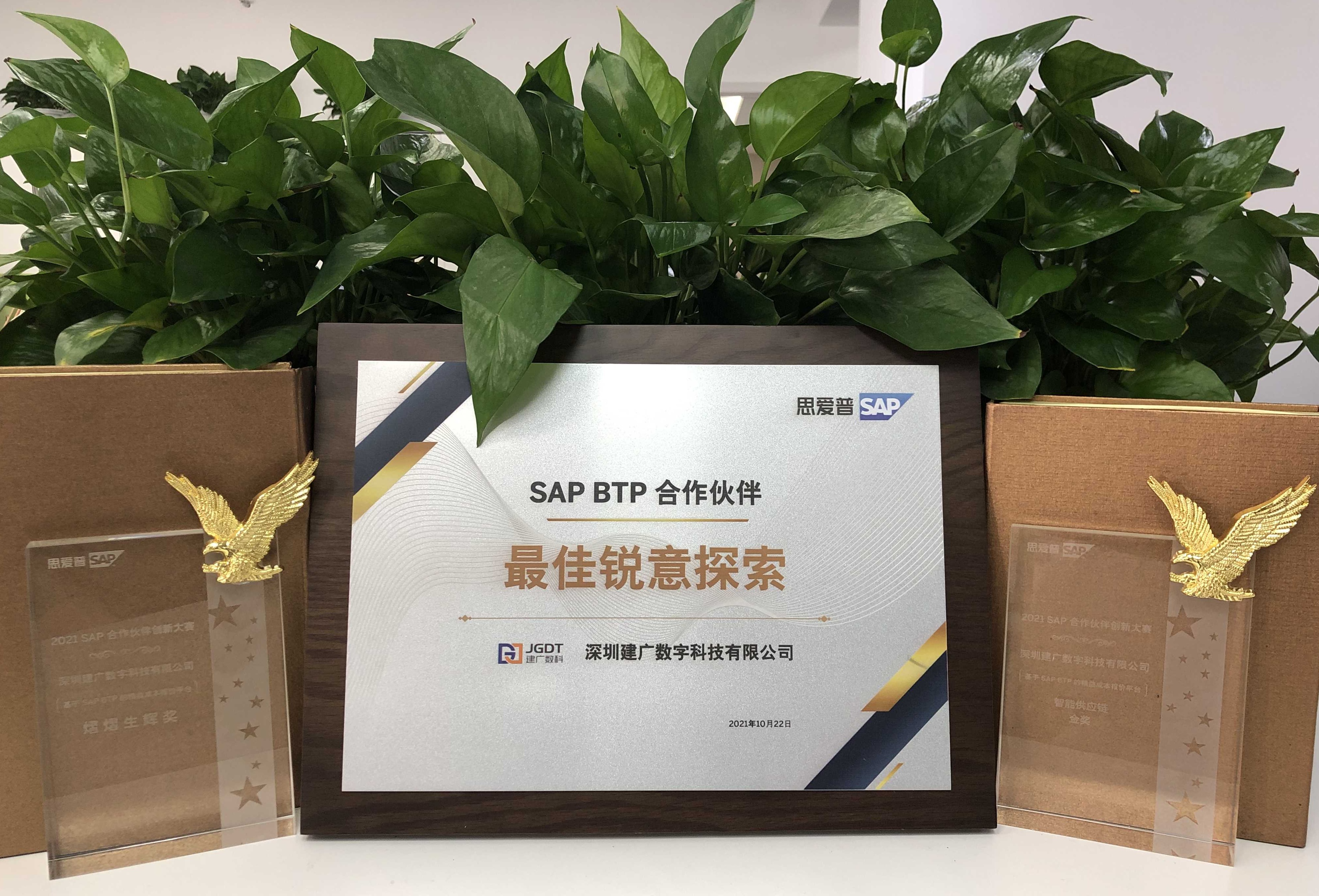 荣誉-SAP合作伙伴