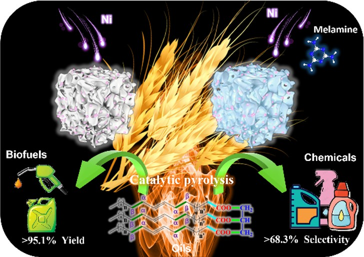 Applied Catalysis B: Environmental: Ni基生物碳催化油脂热裂解制备生物燃料和化学品-厦门大学古雷石化研究院