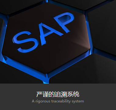 严谨的追溯系统