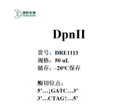 DRE1113-1