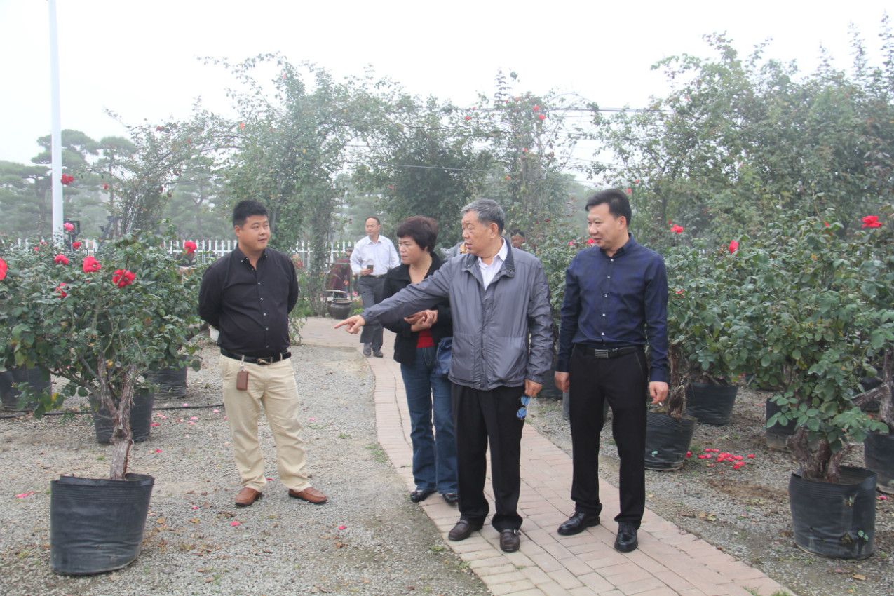 河南省花卉协会会长何东成视察常州南阳月季展示园-中国月季园