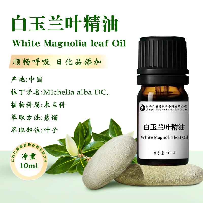 白玉兰叶精油