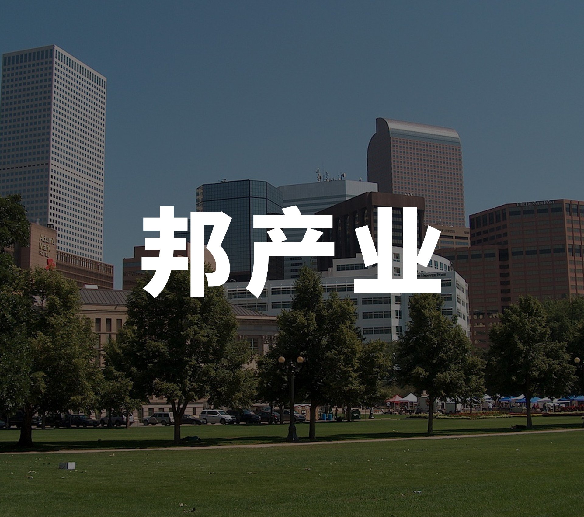 全国产业战略布局服务