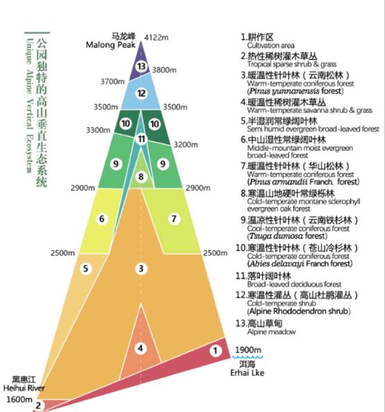 图表

描述已自动生成