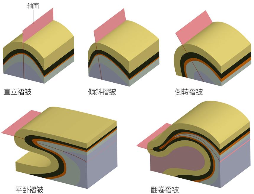 说明: 褶皱.jpg