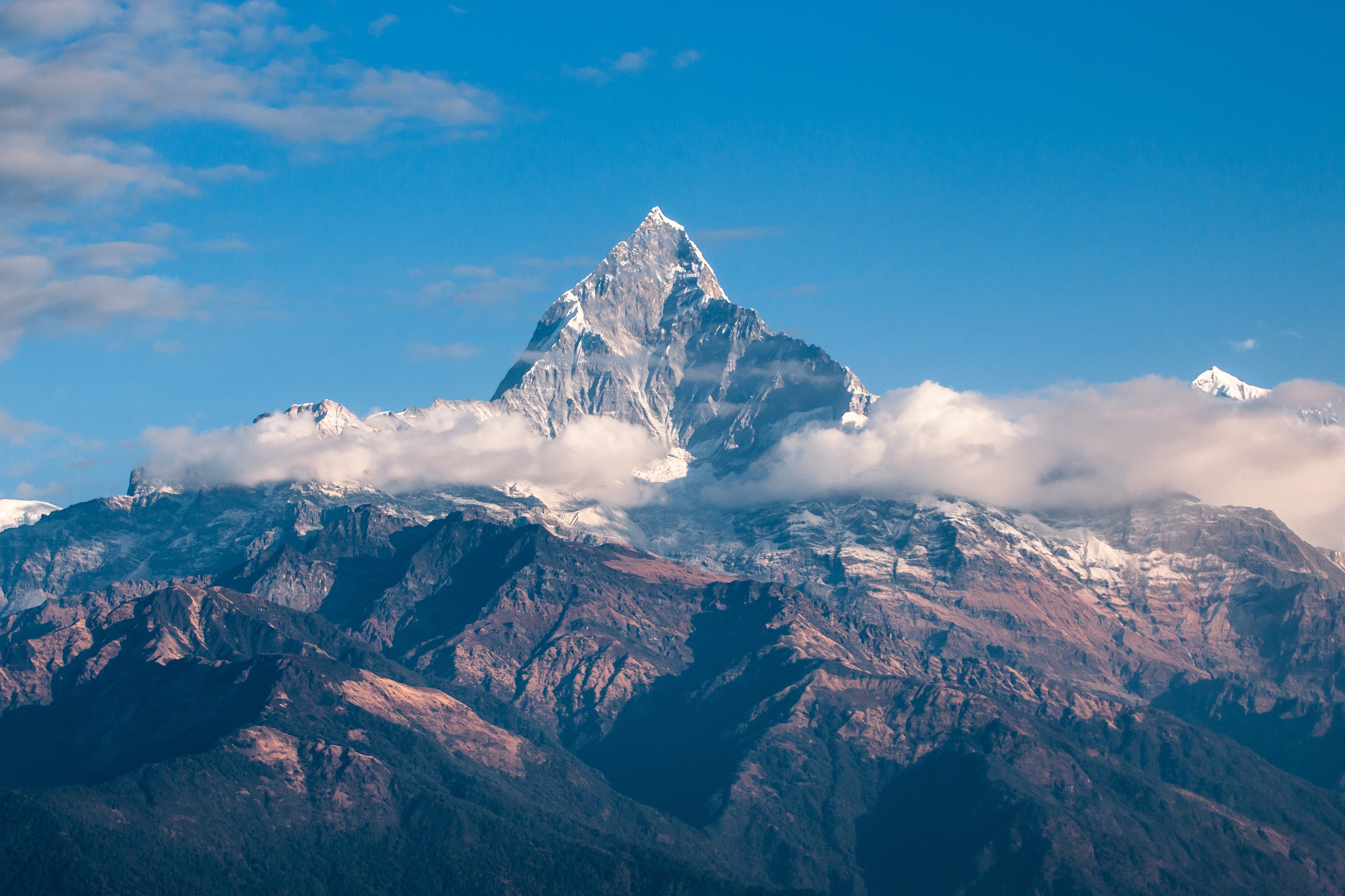 我们的愿景