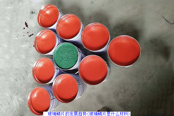 　玻璃鳞片的发展趋势(玻璃鳞片是什么材料)