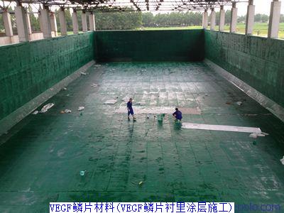 VEGF鳞片材料(VEGF鳞片衬里涂层施工)