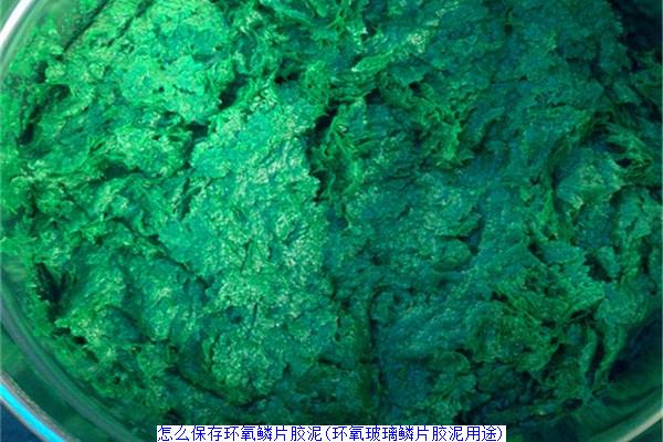 怎么保存环氧鳞片胶泥(环氧玻璃鳞片胶泥用途)