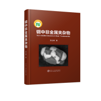 钢中非金属夹杂物