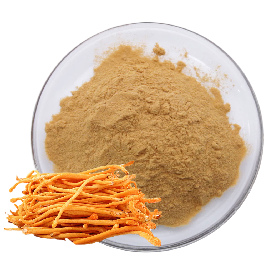 Organic Mushroom Extract