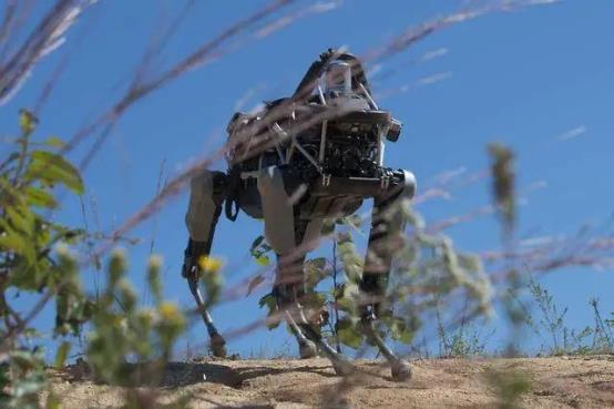 天降神兵！中国首创无人机空投战斗机器狗