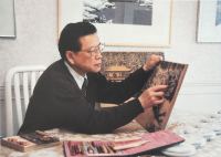 陆放网站用