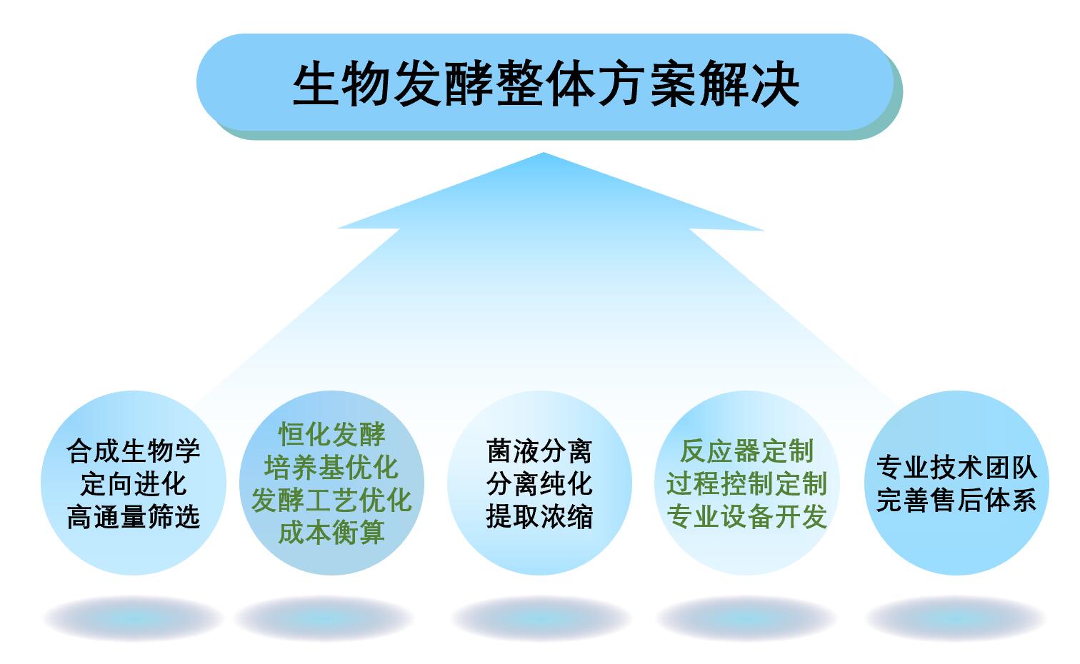 生物发酵整体解决方案