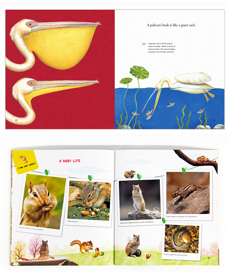 Go Wild! Natural Science for Kids (60 titles)-企业官网