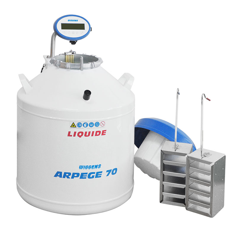 10、-ARPEGE液氮罐