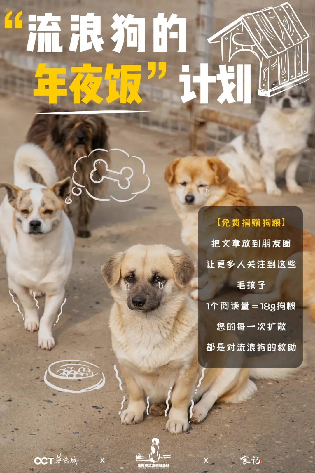 全案策划