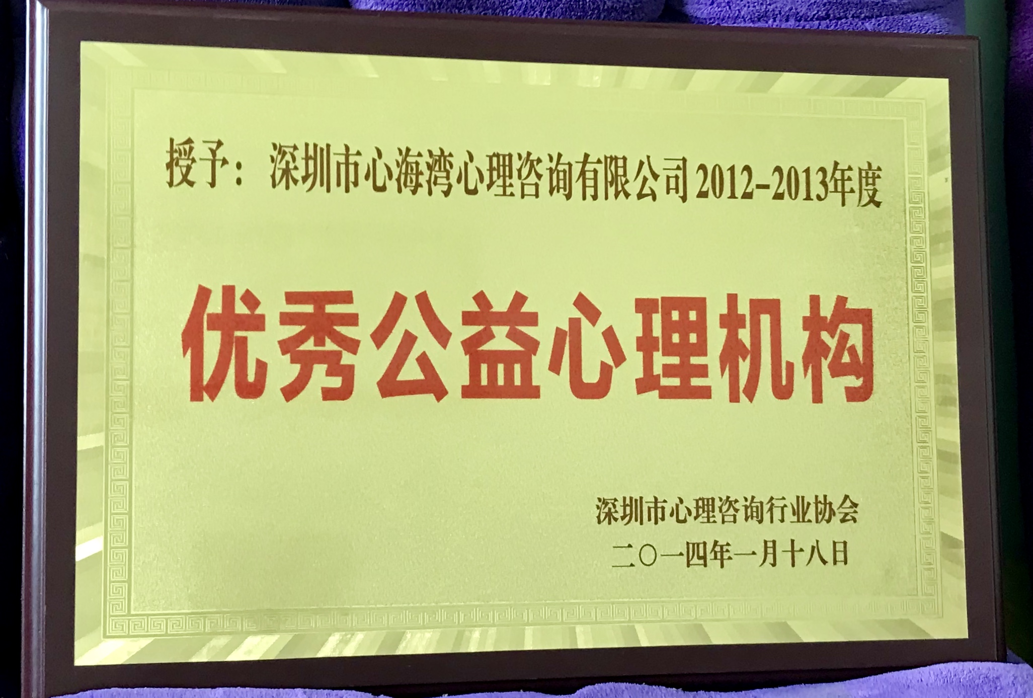深圳市心理咨询行业协会2012-2013年度优秀公益心理机构