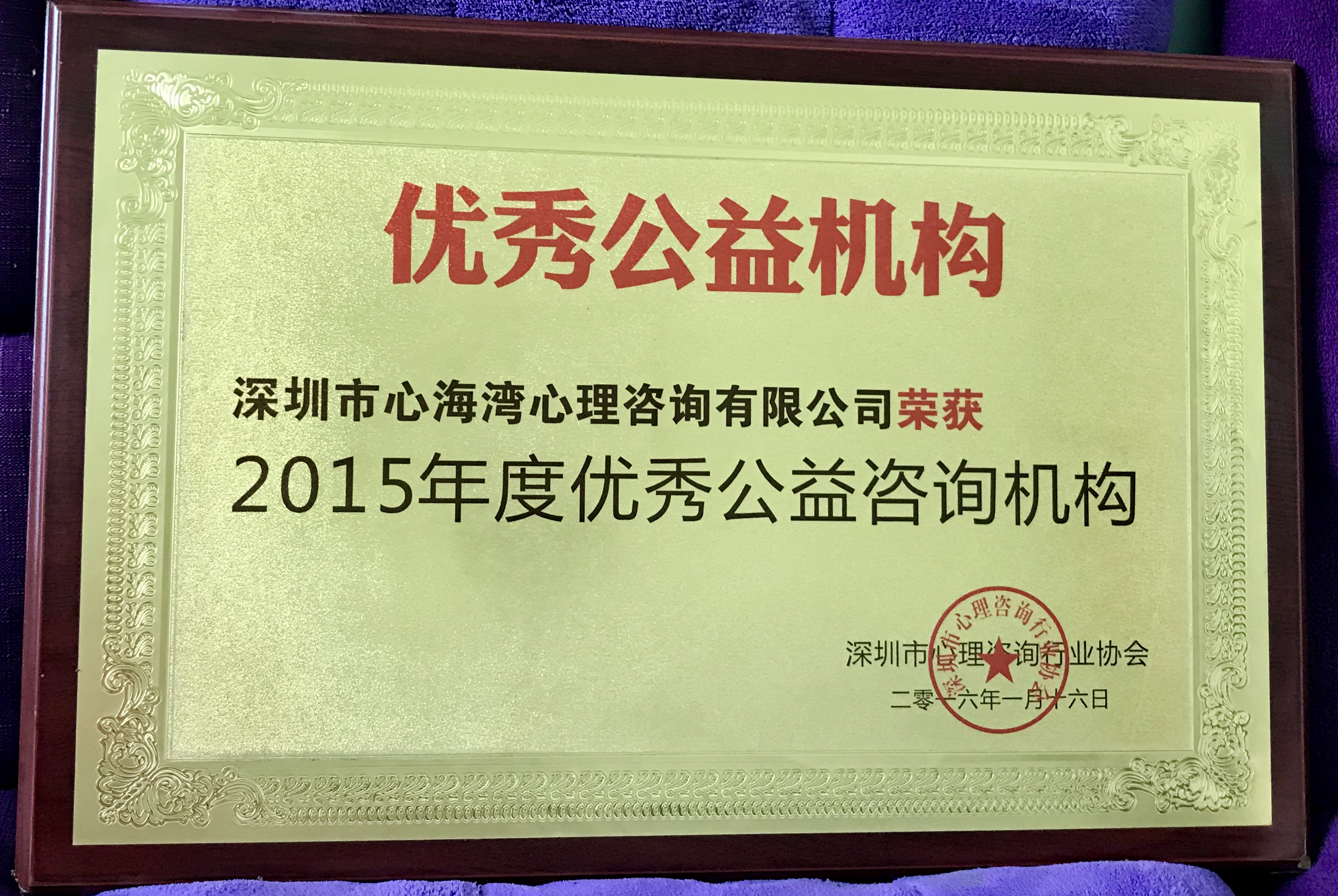 深圳市心理咨询行业协会2015年度优秀公益咨询机构