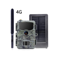 4g