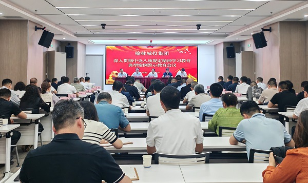 城投集团召开深入贯彻八项规定精神学习教育典型案列警示教育会议
