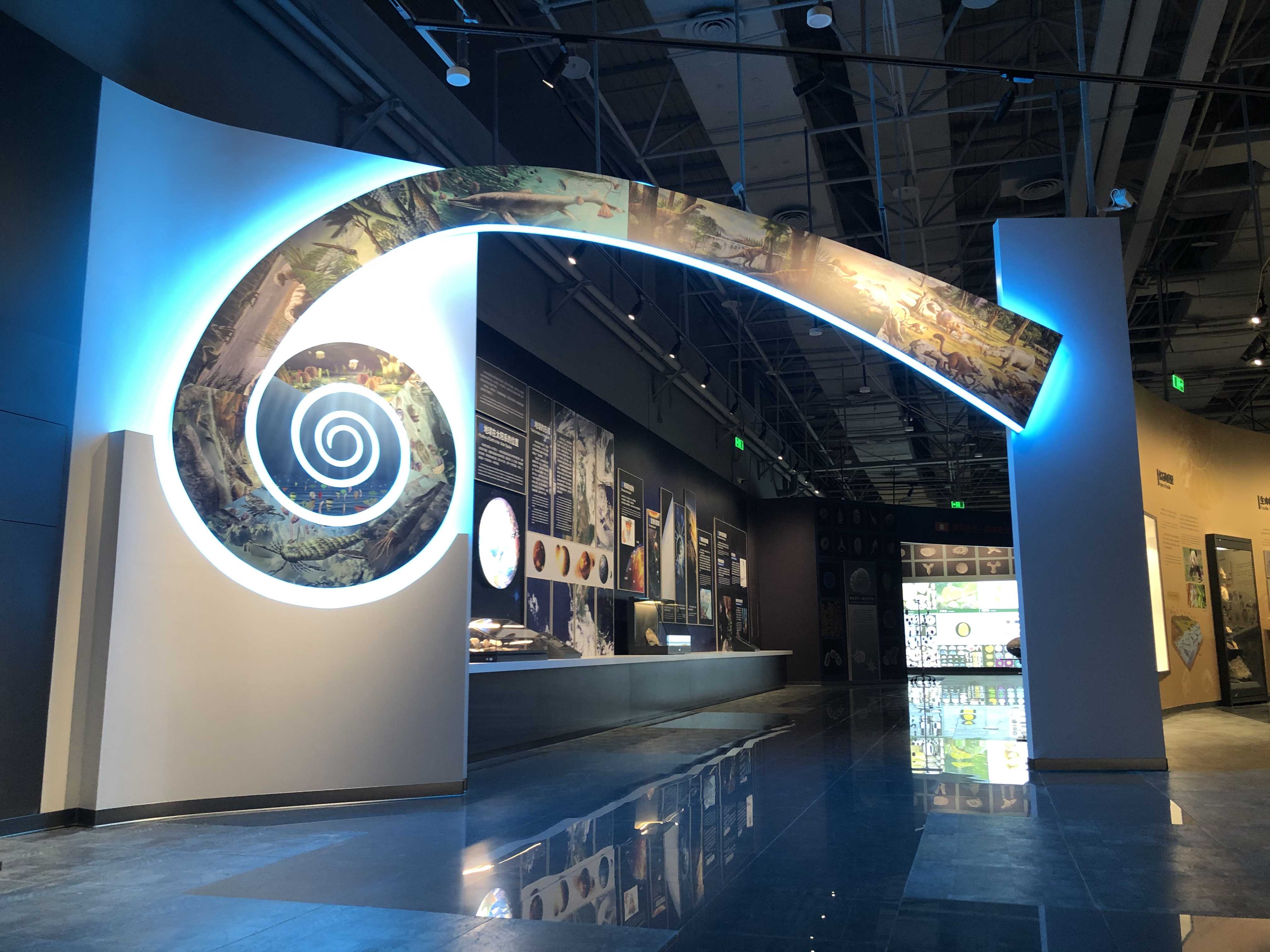 青冈县第四纪古生物化石博物馆始|古生物化石博物馆|青冈县|披毛犀_新浪新闻