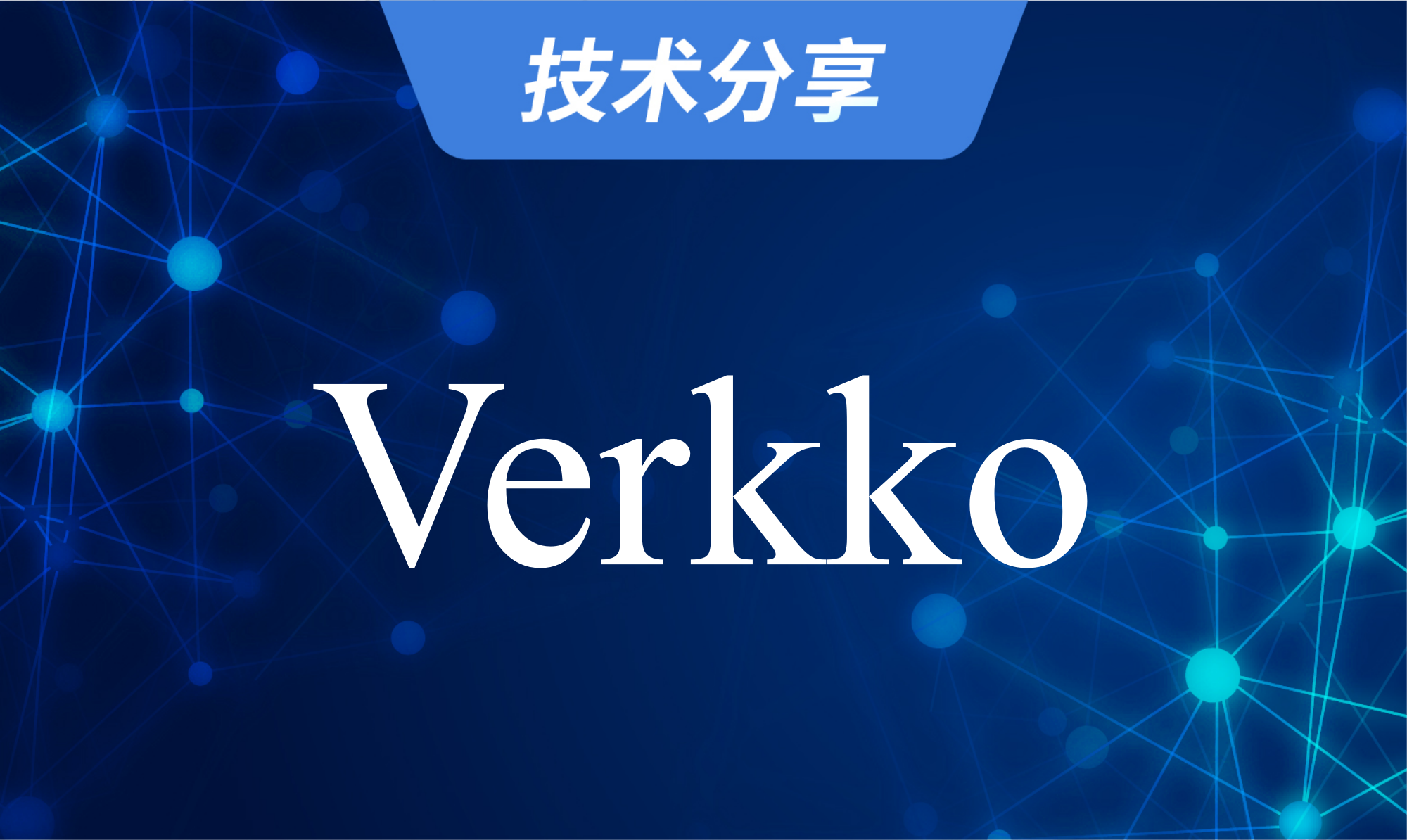 单倍型基因组组装：Verkko基因组组装软件介绍