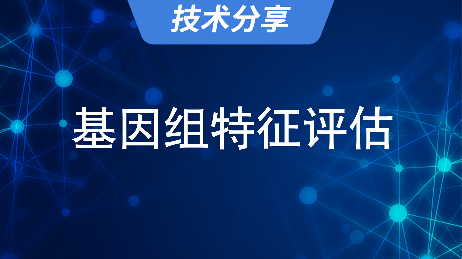 基于Jellyfish、GenomeScope2.0和Smudgeplot软件的基因组特征评估
