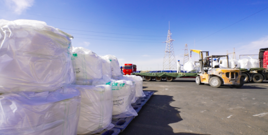 IMG_256