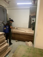 恒裕深圳湾木夹板白蚁防治施工现场无码-7ea7bf044e15fd2cfa717b7f4d69ce9