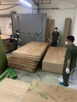 恒裕深圳湾木夹板白蚁防治施工现场无码-bbb8358054994455236b30a0b2cfee5