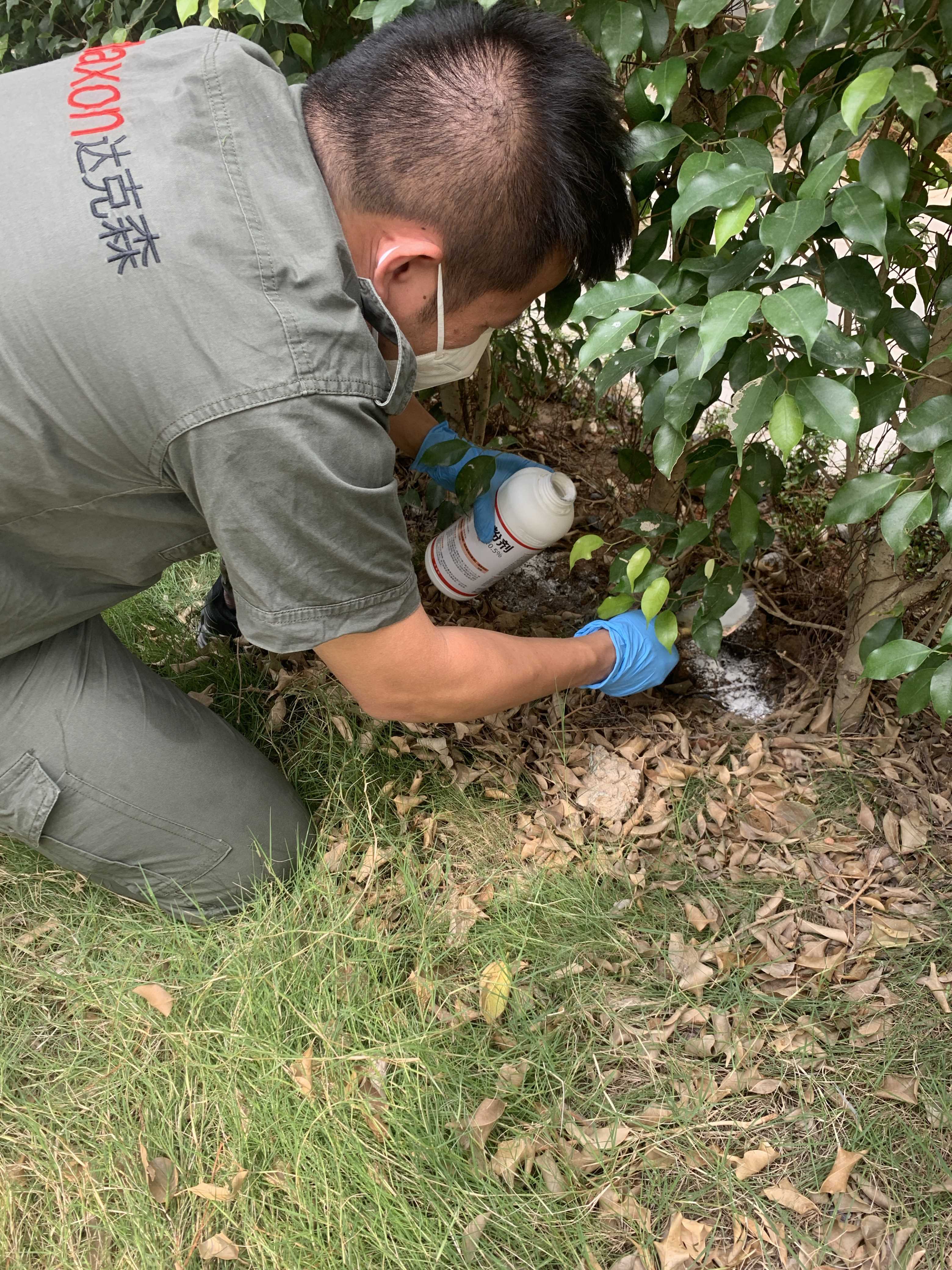 南沙区保利半岛白蚁防治施工现场无码-05066fedeb51287c7ced88130ee8927