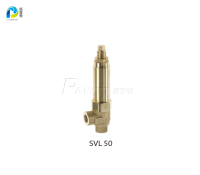 安全阀SVL50