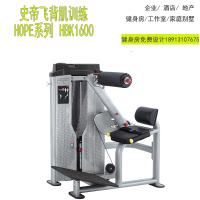台湾史帝飞steelflex背肌训练器HBK1600进口健身器材俱乐部器械