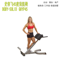 台湾史帝飞body-solid罗马椅45度背肌训练GHYP45进口健身器材常州2