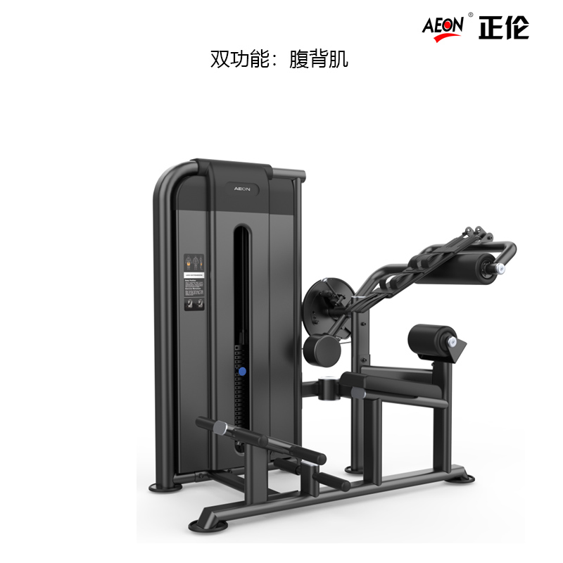 美国正伦AEON腹背肌训练器GS-776双功能插片力量健身器材