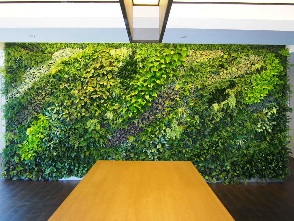 室内办公区域植物墙