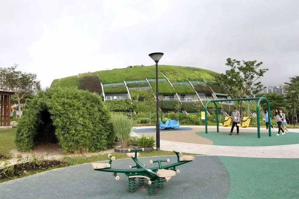 建筑护坡绿化