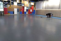 大教室正在铺装龙飞PVC地板_005