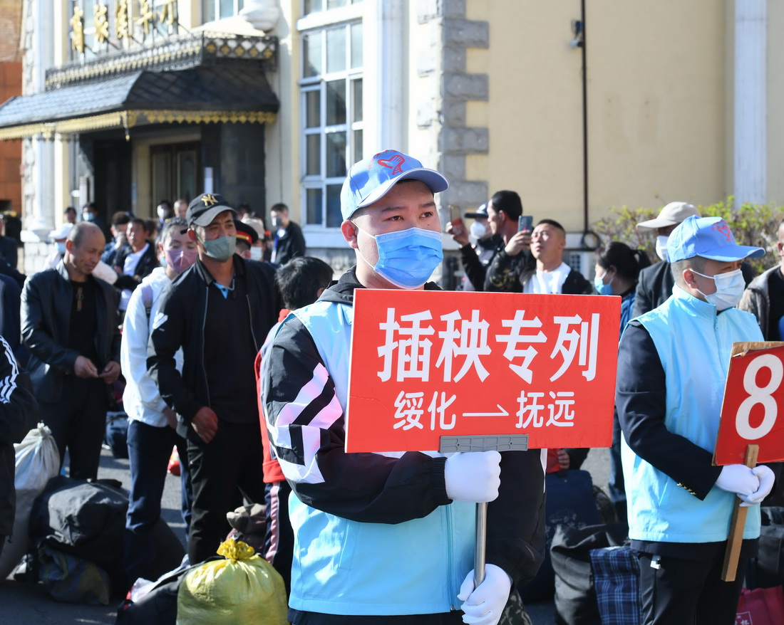 “大粮仓”黑龙江省连续24年开行“插秧专列”
