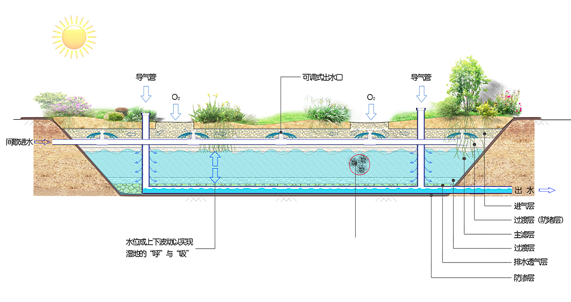 垂直流人工湿地原理图图片