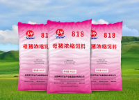 东方红-818母猪浓缩饲料