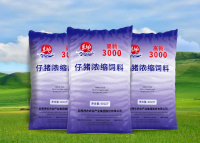 东方红-高新3000仔猪浓缩饲料